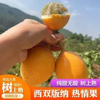 【热情果】顺丰包邮云南哥伦比亚热情果热带孕妇稀有水果应季