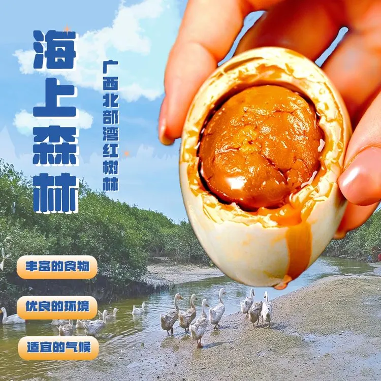 西哥广西北海特产烤海鸭蛋北部湾咸鸭蛋正宗流油整箱鸭蛋即食