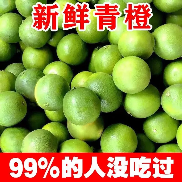 现摘廉江红橙薄皮新鲜青皮橙子孕妇应季酸甜多汁水果