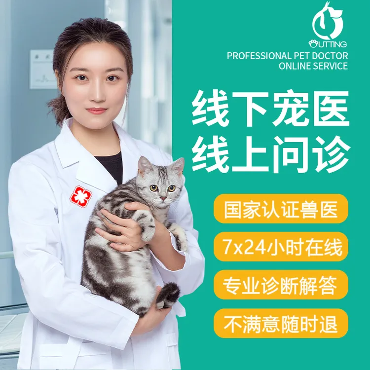 宠物医生语音视频问诊宠医24小时在线狗狗猫咪看病咨询兽医