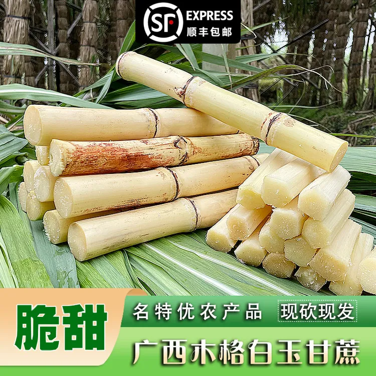头茬广西木格白玉甘蔗地标农家自种当季新鲜水果清甜脆爽产地直发