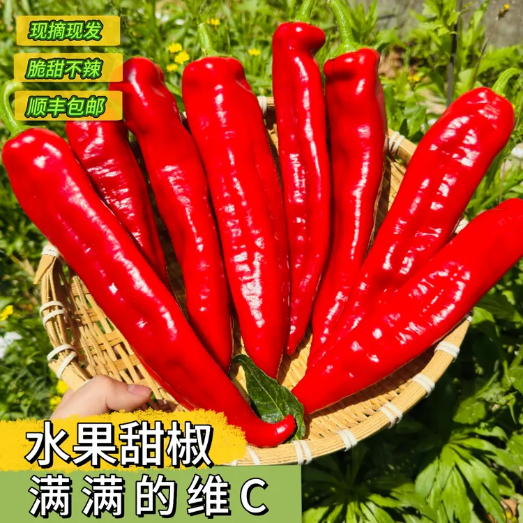 【顺丰包邮】帕沃尔水果椒 红色甜椒 脆甜多汁 低卡低热量