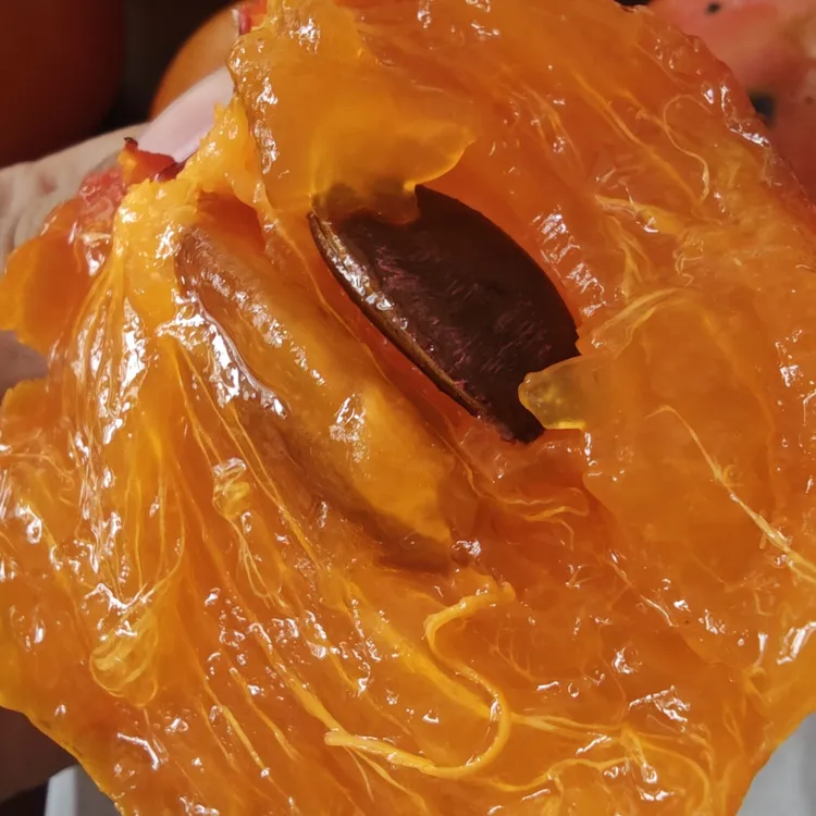 新鲜 红柿薄皮软柿子  福建油柿有核  硬籽  七八分熟发出需催熟