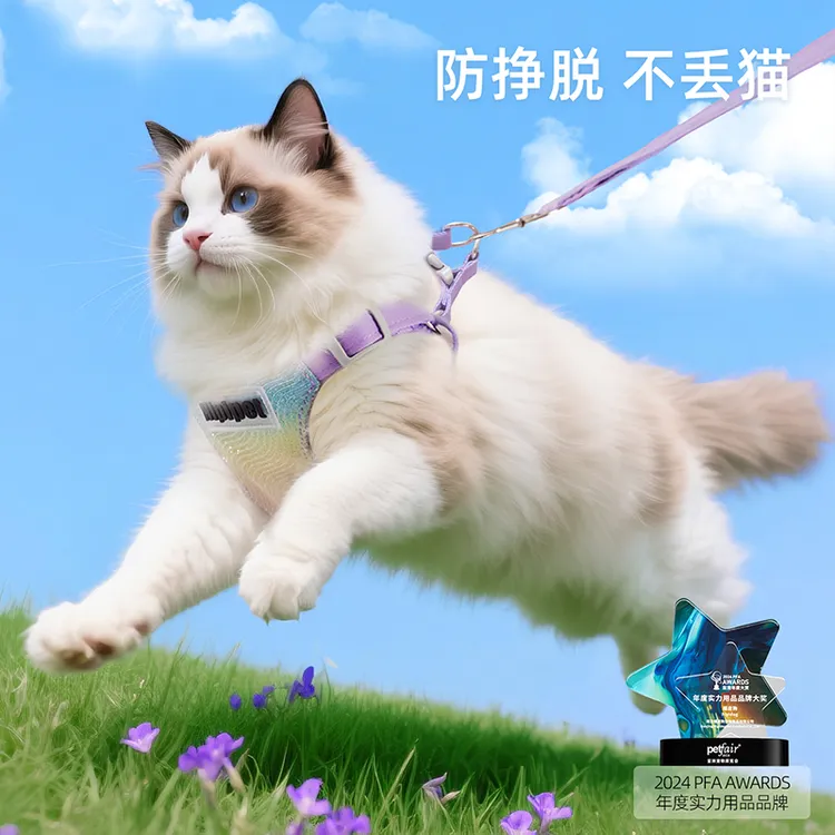 时尚炫彩渐变胸背带牵引绳遛狗绳宠物外出泰迪比熊小型犬狗绳3028