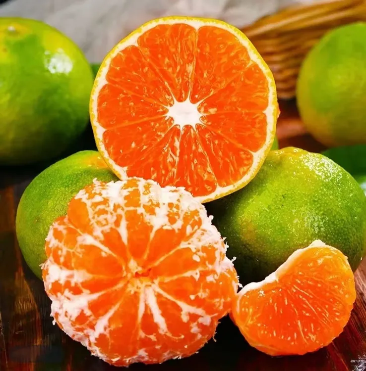 【湘宏】石门柑橘蜜桔酸甜爽口薄皮多汁应季水果纯天然5斤9斤装