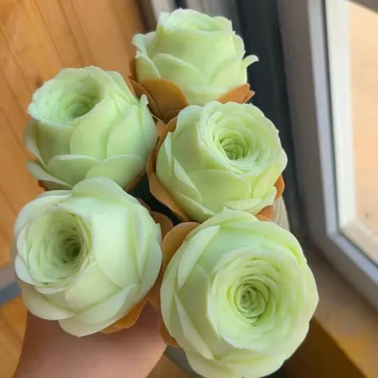 水蜜桃山地玫瑰多肉植物酒杯鸡蛋粉耶罗帕尔马紫色风铃群生