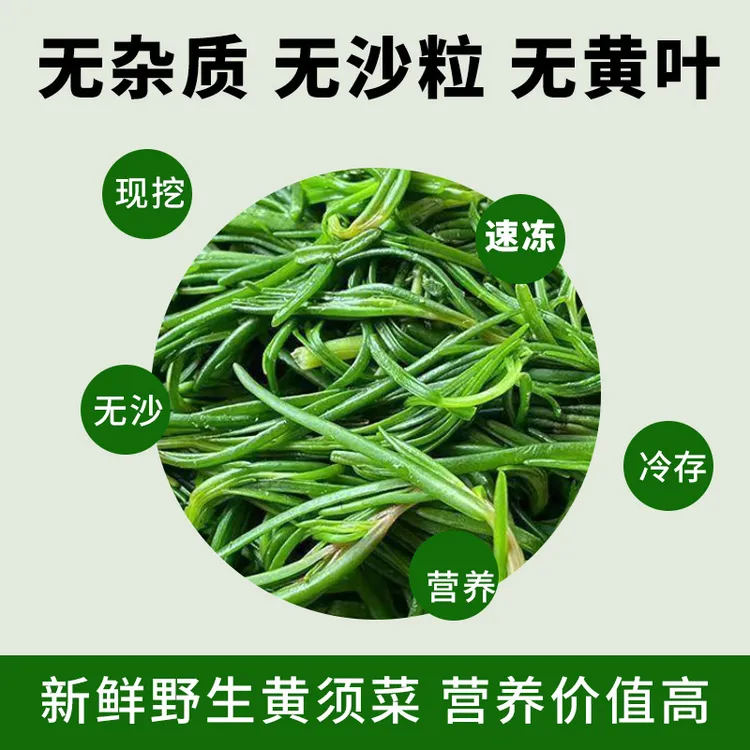 碱性农家传统野菜 盐碱滩涂 自然生长黄须菜，营养丰富，鲜嫩翠香