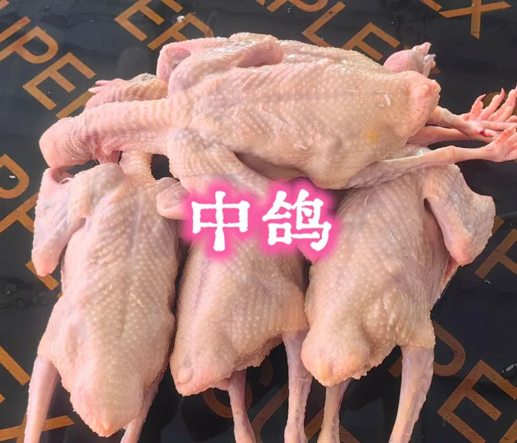 正品灰色中鸽，现场宰杀，称重打包，新鲜发货。