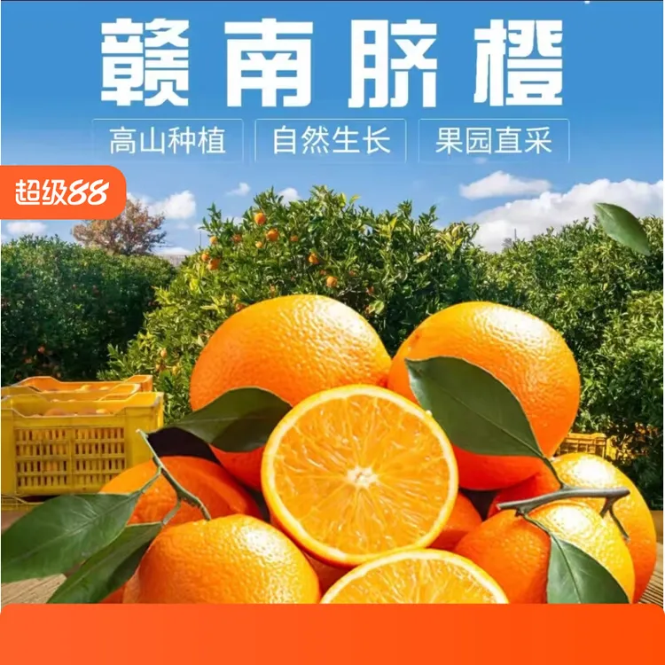 【琴琴专属】赣南脐橙正宗江西赣州橙子现摘新鲜应季水果手剥橙包邮