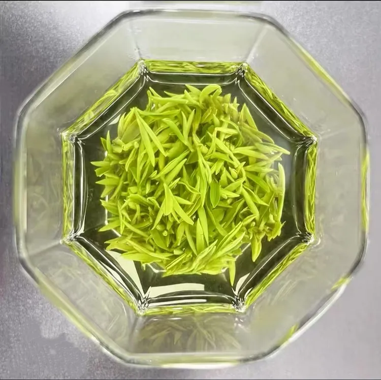 浓香绿茶嫩芽碧螺春新茶新鲜清香春季好茶