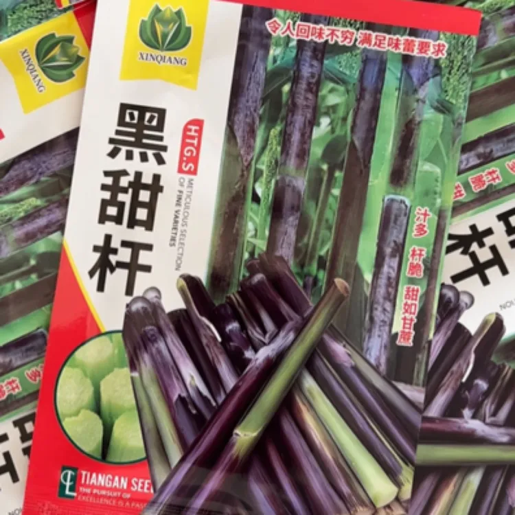 发2袋 早熟黑甜杆种子