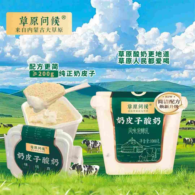 草原问候内蒙正宗奶皮子酸奶奶制品特产盖瑞大桶酸奶冷萃高钙干噎