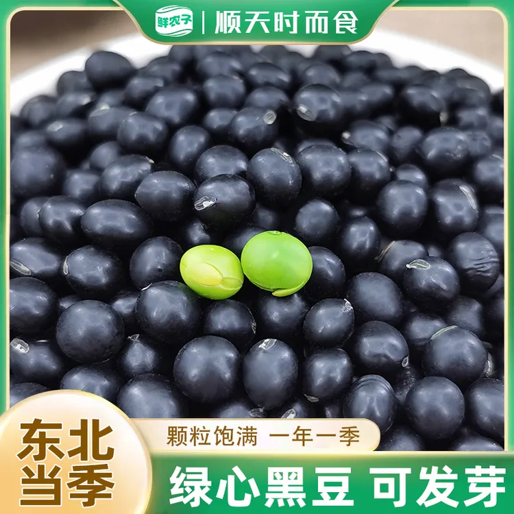 东北绿心黑豆非转基因农家新货打豆浆专用五谷杂粮黑小豆青仁绿芯