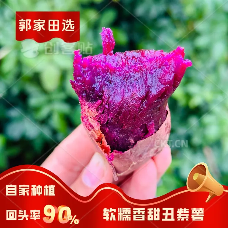 【郭家田选】软糯香甜丑紫薯糖芯紫薯不干噎别看我丑但是我很甜！