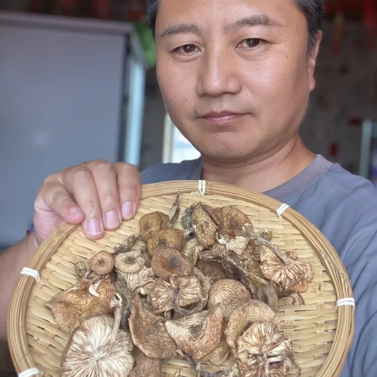 自家晾晒东北榛蘑250克