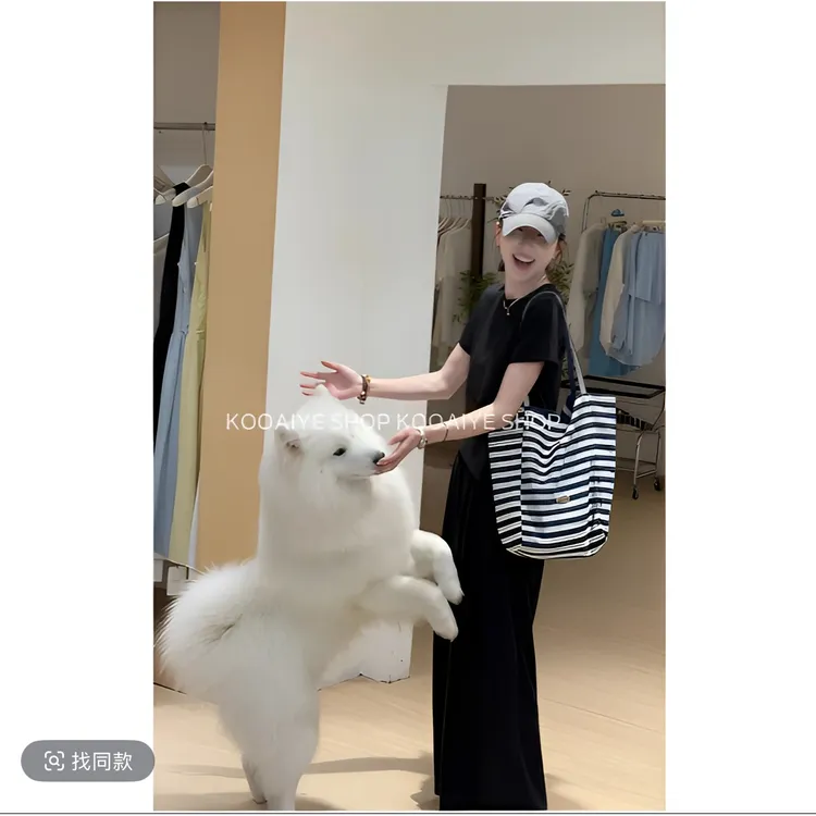 修容套装夏季新款韩系简约休闲百搭时尚纯色设计感套装