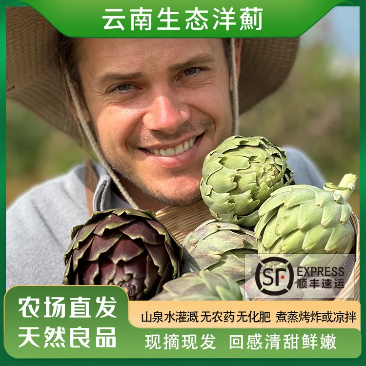 瑞典奶爸在大理｜生态种植新鲜洋薊4斤蔬菜朝鲜蓟花现摘包顺丰