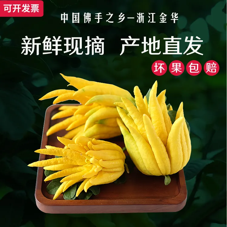 正宗金华佛手清工绿植北山口插花水培香