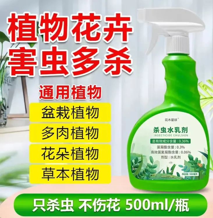 花卉植物杀虫剂花药通用君子兰病虫害常用蓟马芽虫小黑飞室内专用