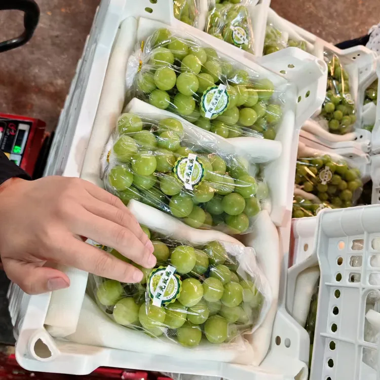 阳光玫瑰新鲜应季水果鲜甜多汁整串精品大果现摘现发