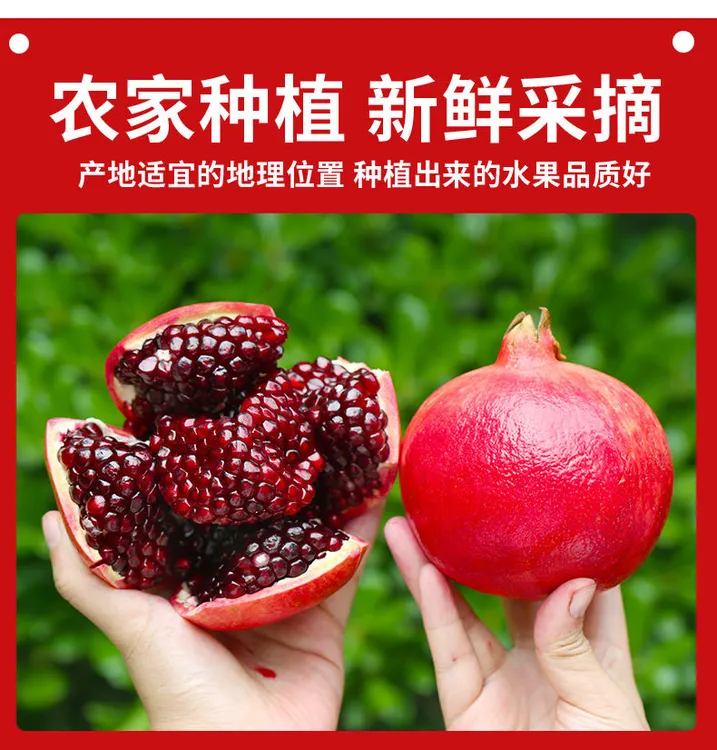 【泡酒专用】【酸石榴】新鲜现摘正宗云南黑珍珠酸石榴孕妇酸爽水果