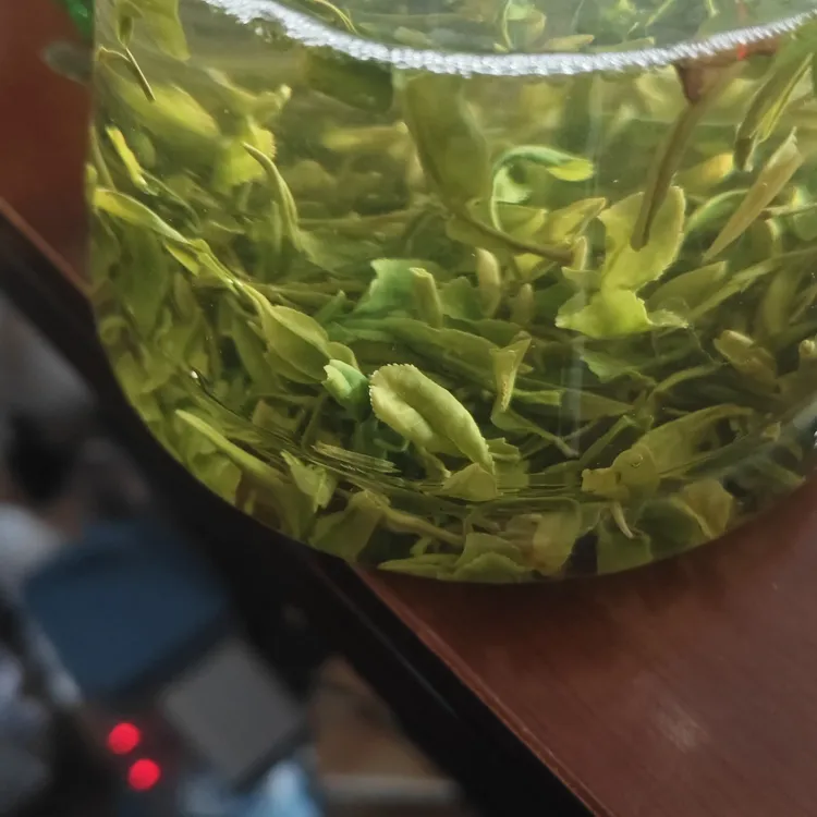 日照绿茶炒青绿茶浓香耐泡的优质绿茶口粮茶