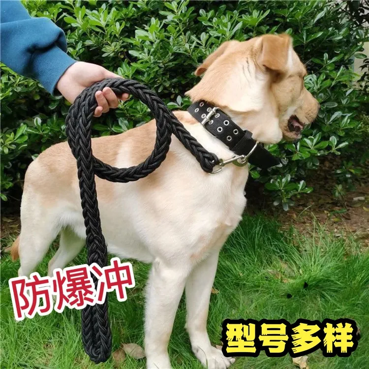 狗狗牵引绳加粗狗链大中型犬通用遛狗绳小狗项圈拴狗绳脖套可调节