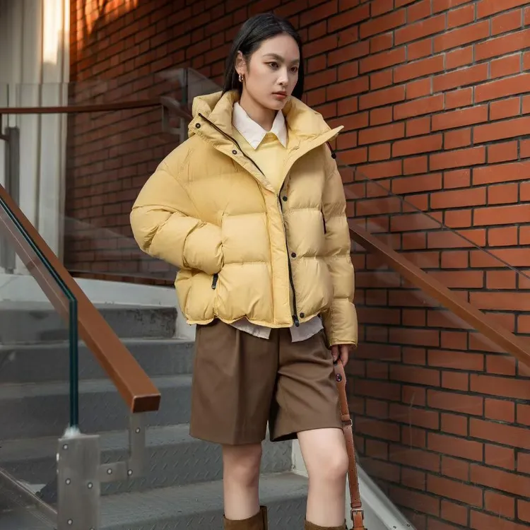 艾圃25670羽绒服时尚休闲百搭女士保暖女装上衣