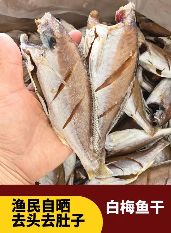 温州特产白梅鱼半干货去头淡晒咸香美味咸淡500g