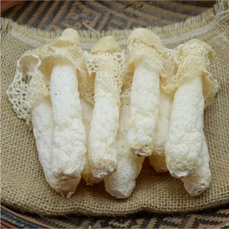 贵州特产织金竹荪干竹荪竹荪菌红托短裙清香竹荪竹笙100g包邮