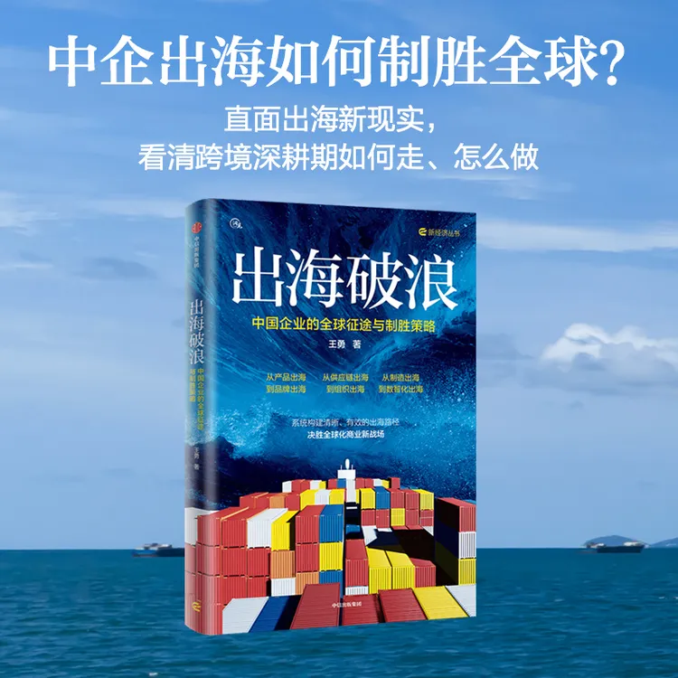 出海破浪：中国企业的全球征途与制胜策略 出海、民营企业、品牌策略