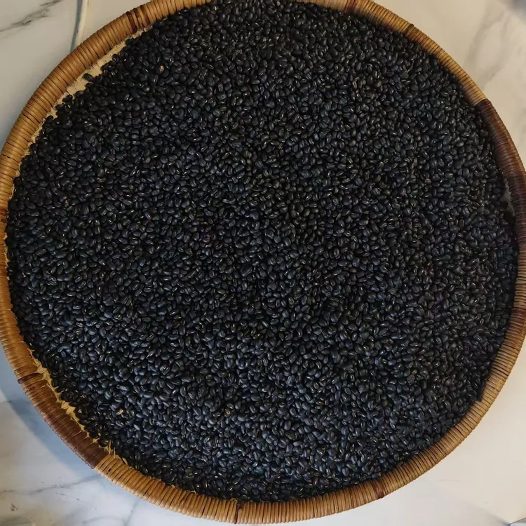 大山里农家自种营养高黑饭豆老品种黑豆