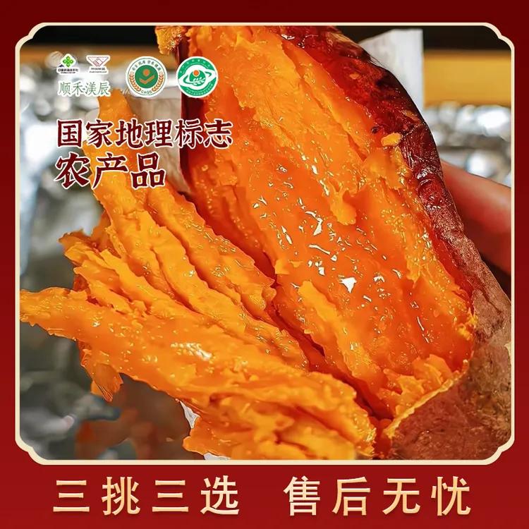 【瓦房店地瓜】正宗盐碱沙地烟薯25红薯流油蜜薯闫店地瓜