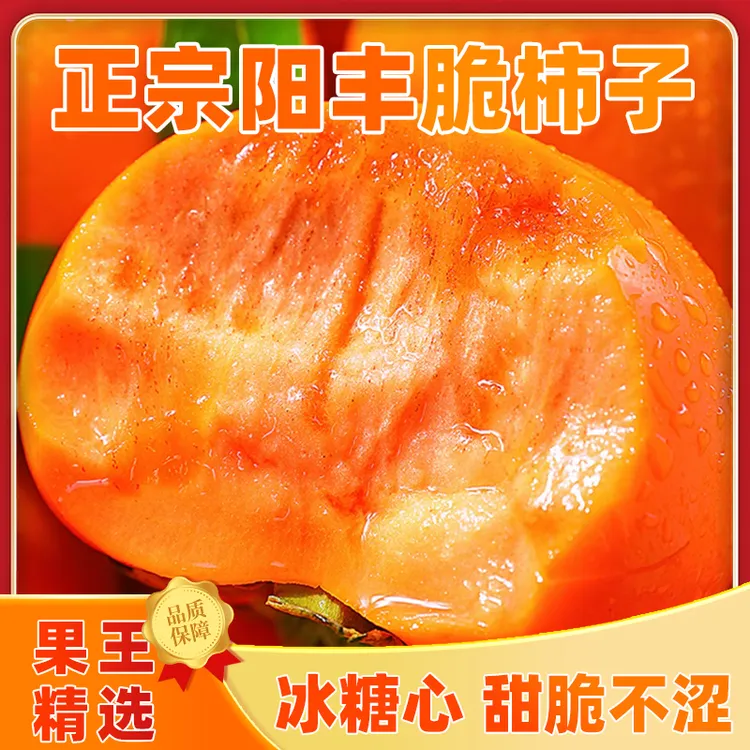新鲜脆甜柿子精选果王应季硬柿子巧克力水果柿子阳丰特产