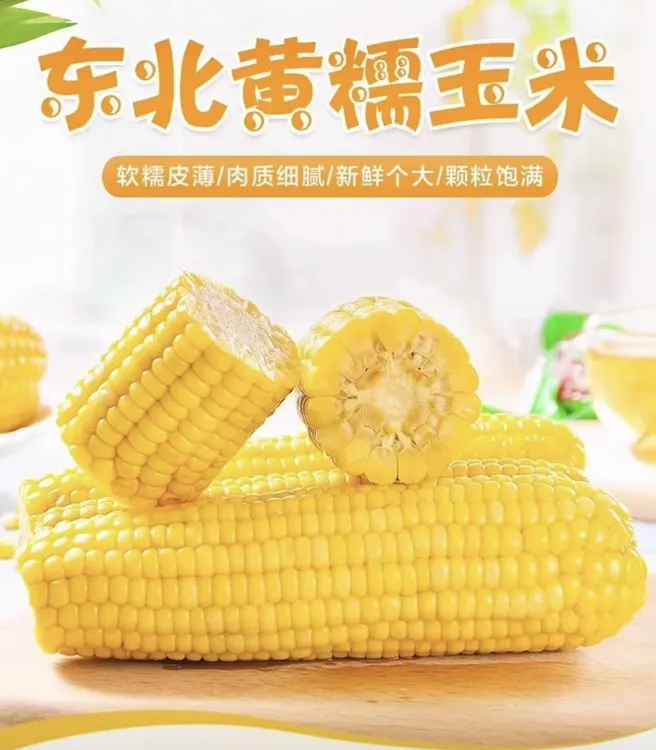 东北黄金笨玉米300克大棒x8根（一根顶两根 吃完必回购）