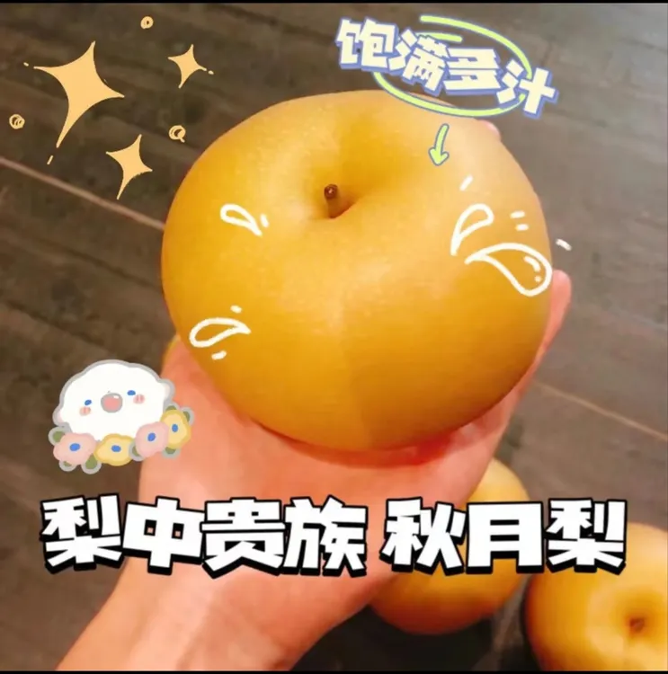 山东原产地新鲜采摘脆甜多汁秋月梨当季水果