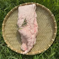 【顺丰包邮】猪猪侠的肉铺新鲜猪板油肥油猪油5斤装速冻猪肚鸡排骨