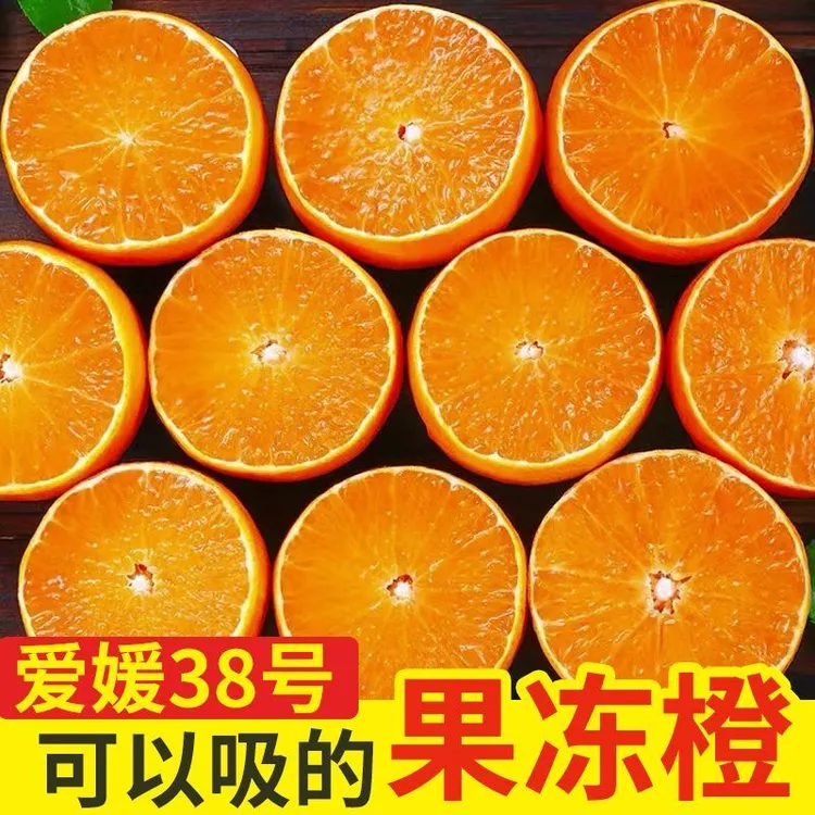 四川核心产区爱媛38号果冻橙新鲜采摘香甜多汁应季水果