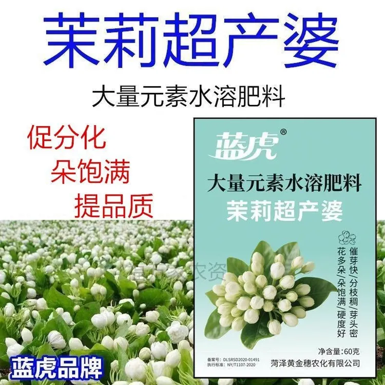 茉莉超产婆茉莉花多多茉莉催芽剂膨大花朵花大花白提高花朵硬度