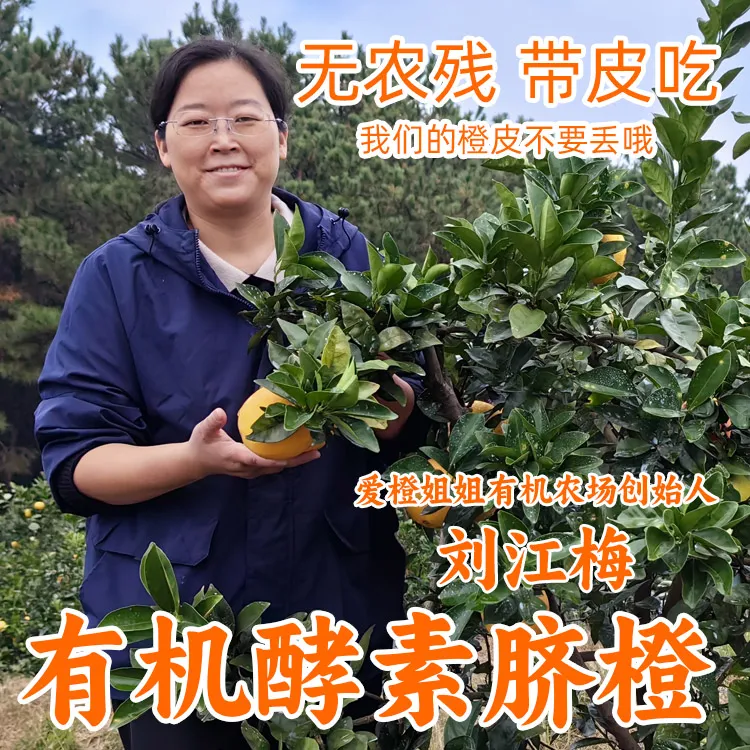 江西井冈山新鲜有机酵素脐橙 零农残 新鲜采摘香甜可口自然成熟