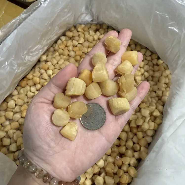 大瑶柱干贝240头自用送礼煲汤煲粥蒸水蛋煮面做XO酱海味干货