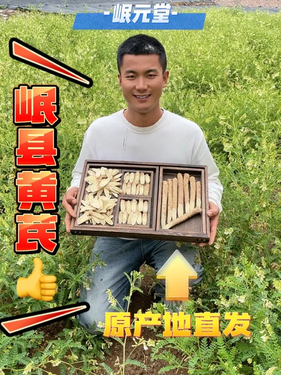 甘肃岷县种植黄芪大片农户直发5年主根切片正宗上等黄芪