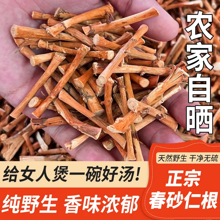 野生春砂仁根50g-500g阳江特产春砂仁根新货正宗阳春春沙仁干根