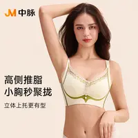中脉木瓜养护能量调整型蕾丝杯面无痕小胸显大内衣9800