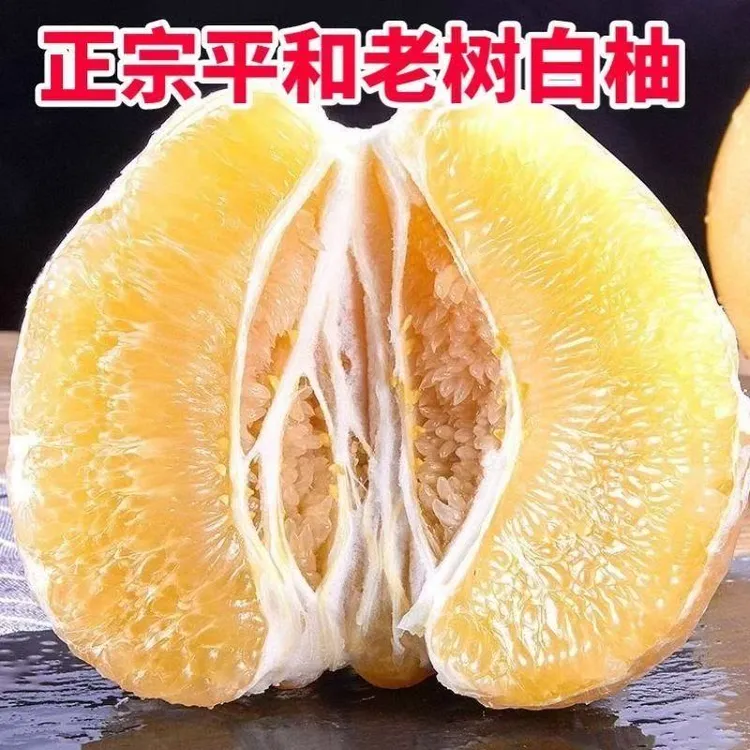 【平和母树白柚】福建平和琯溪蜜柚白心柚子白肉柚新鲜应季水果