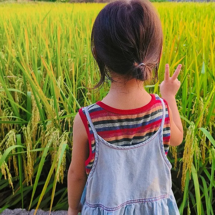 今喜-童装(直播间扣号)No退No换