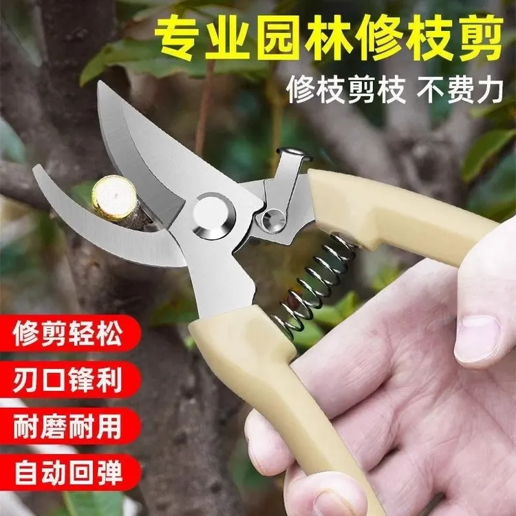园艺剪园林翦修枝剪刀多功能优质耐用剪子树剪果剪sk5不锈钢刀头