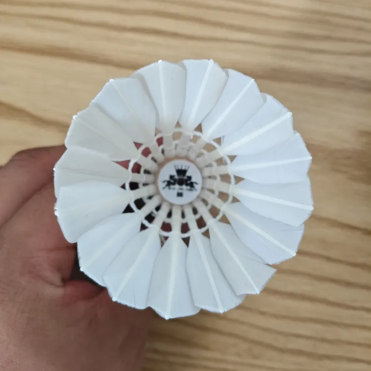 D8 鹅毛大刀 飞行耐打兼顾