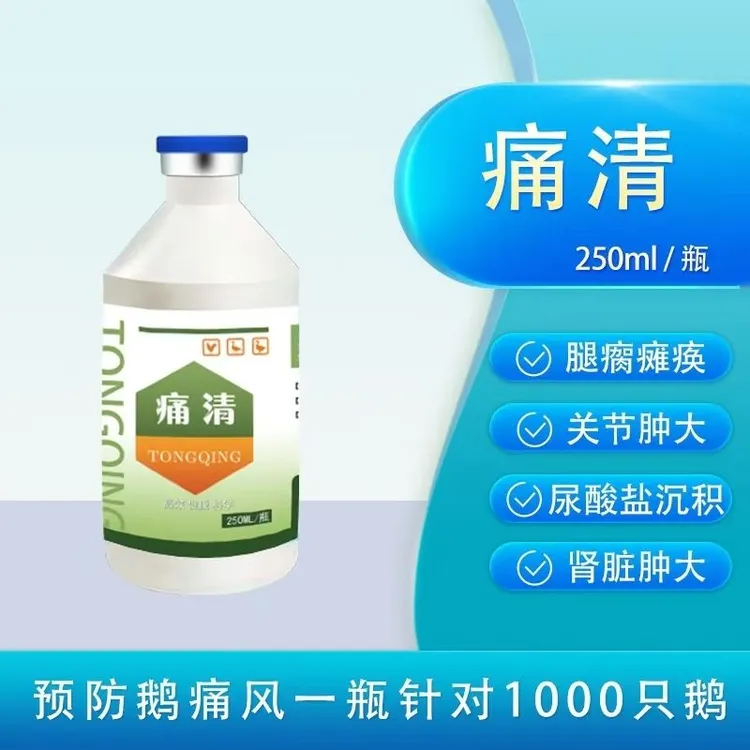 【痛清】病毒性痛风尿酸盐沉积白色粪便拉稀腿瘸鸡鸭鹅