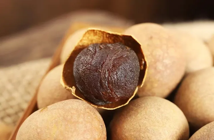 新货福建特产桂圆干特级